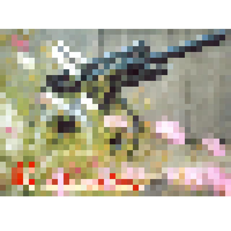 Комплект открыток