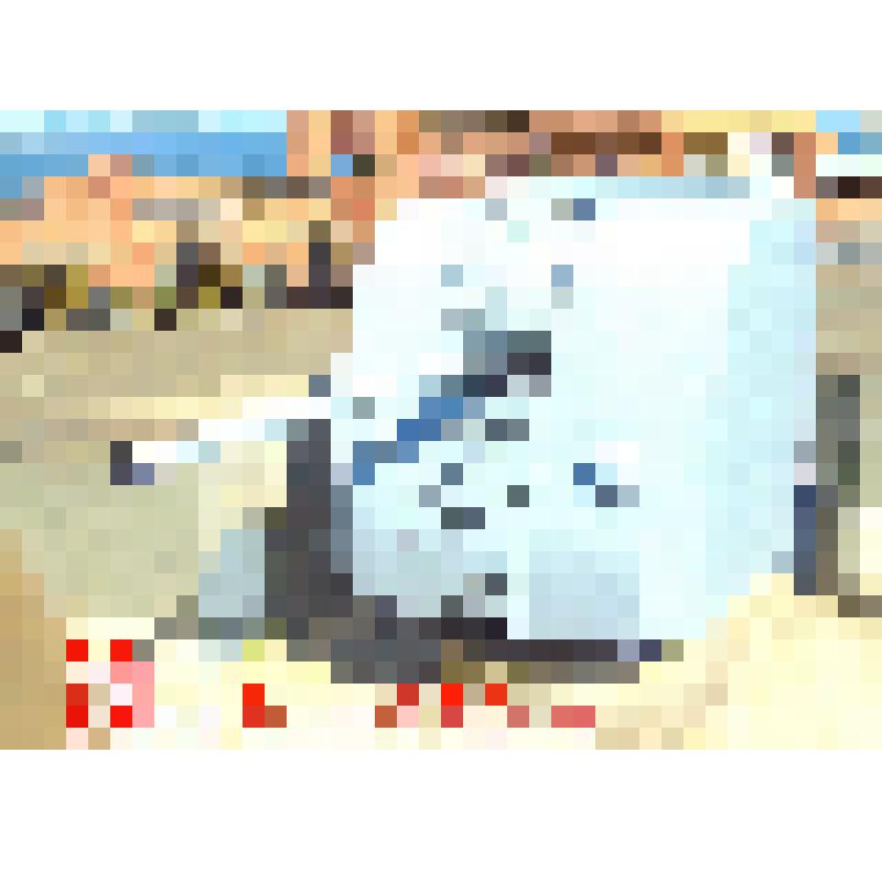 Комплект открыток