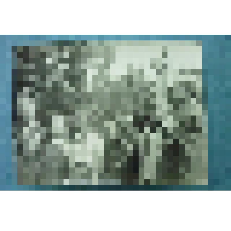 Фотография групповая