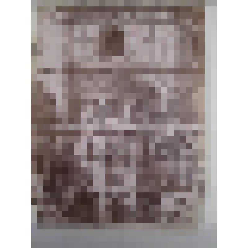 Санта-Мария-дель-Фьоре. 1296—1436 гг. Италия, Флоренция. Собор Санта Мария дель Фьоре. 1296-1436 гг. Апсида. Внешн. сторона. Изд. Алинари