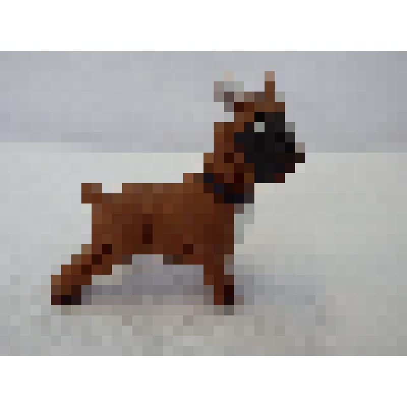 Собака декоративная