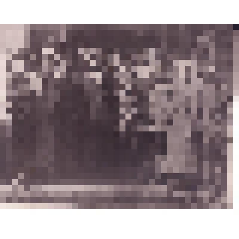 М.И. Калинин и В.И. Ленин среди курсантов командных курсов тяжелой артиллерии