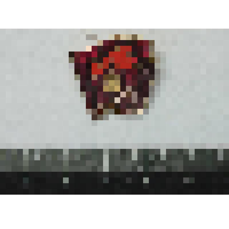 Значок «Старший пионер»