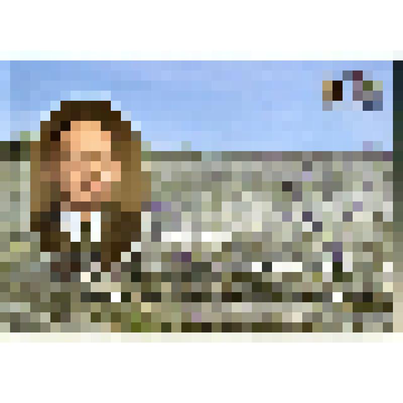 Брошюра. Профессор В.В. Алехин – основатель Центрально-Черноземного заповедника. Курск, 2017 г. – 20 с