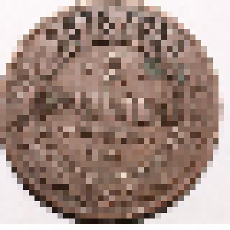 Монета "2 копейки" (1876 г.)