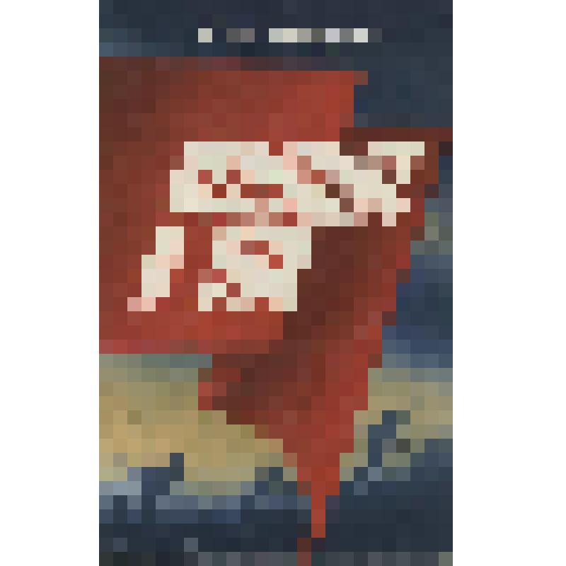 Книга. Ведущие в бой. Записки парторга полка