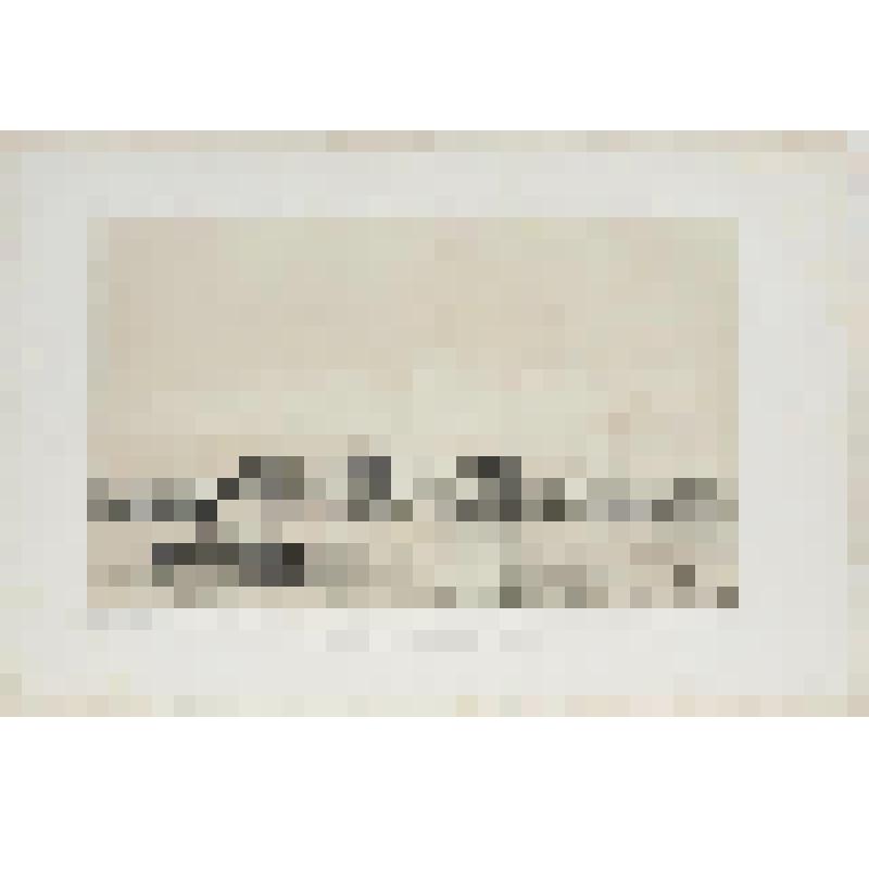 Литография. "Санкт-Петербург. Императорская академия изящных искусств. Вид со стороны дома Дурново на Английской набережной."