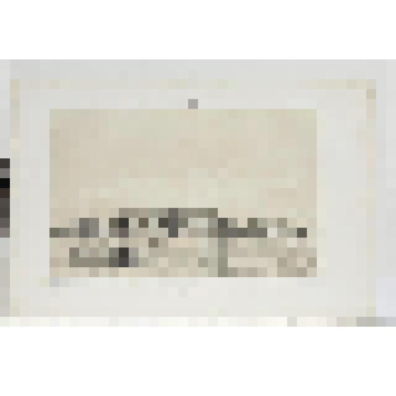 Литография. "Санкт-Петербург. Императорская академия изящных искусств. Вид со стороны дома Дурново на Английской набережной."