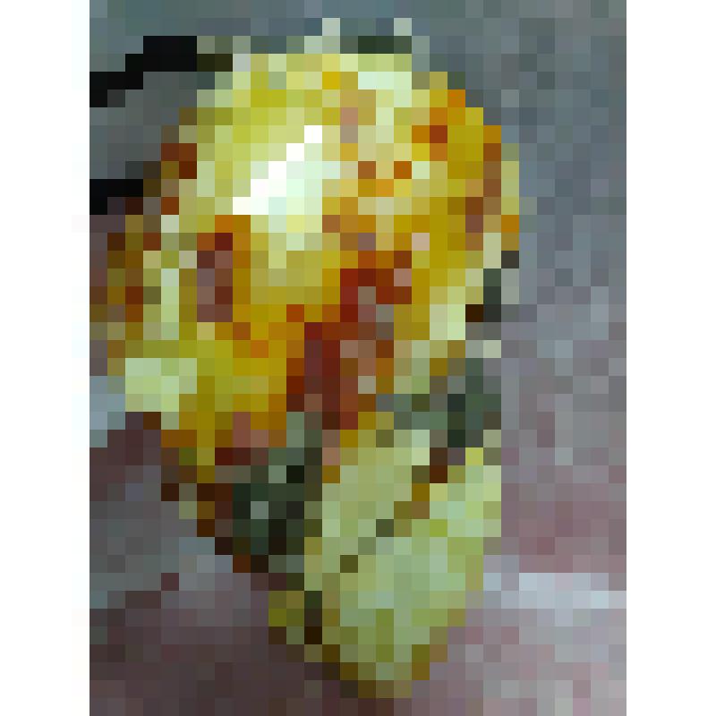 Кулон «Лава»