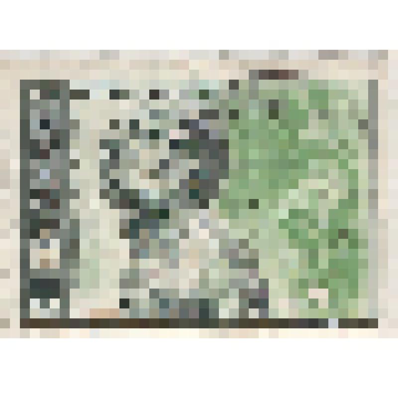 Марка почтовая