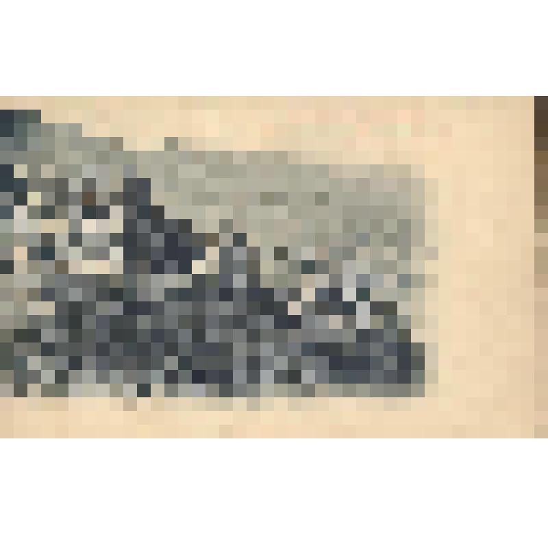 Военно- Грузинская дорога. Станция Млеты и Млетский подъем