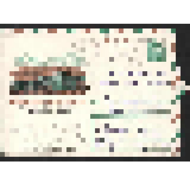 Поздравление Петросяна С.З. Богомоловой З.А. с  праздником 8 Марта