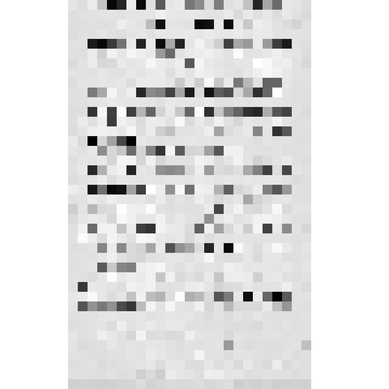 Листовка «Товарищи рабочие и крестьяне в рядах белой армии». 1918-1920 гг. (?)