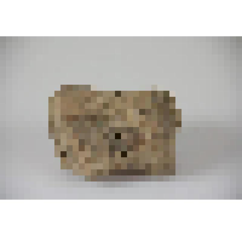 Позвонок мамонта