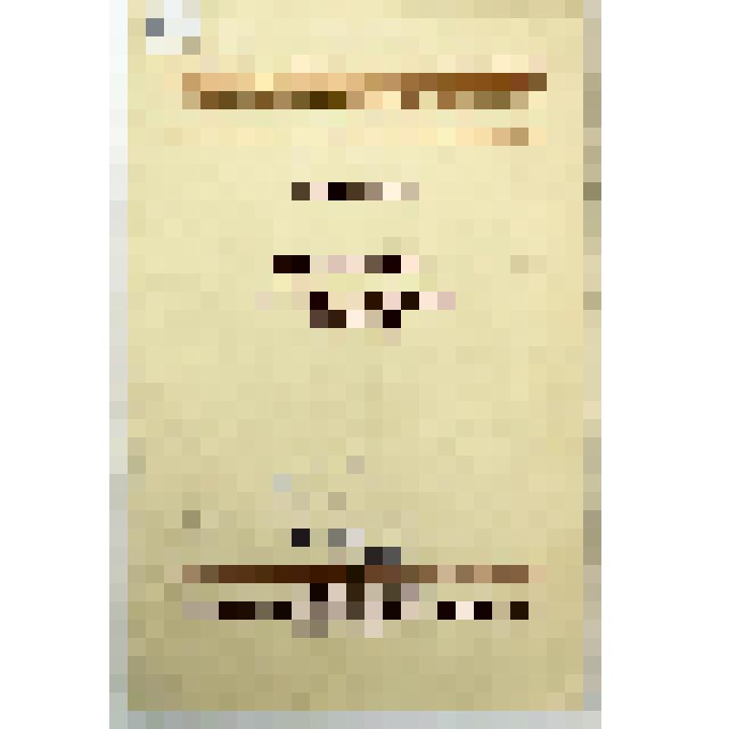 Брошюра. Школьный исторический музей / А. М. Кандакчян; ред. М. А. Зиновьева; АПН РСФСР. -  М.: Изд-во АПН РСФСР, 1951