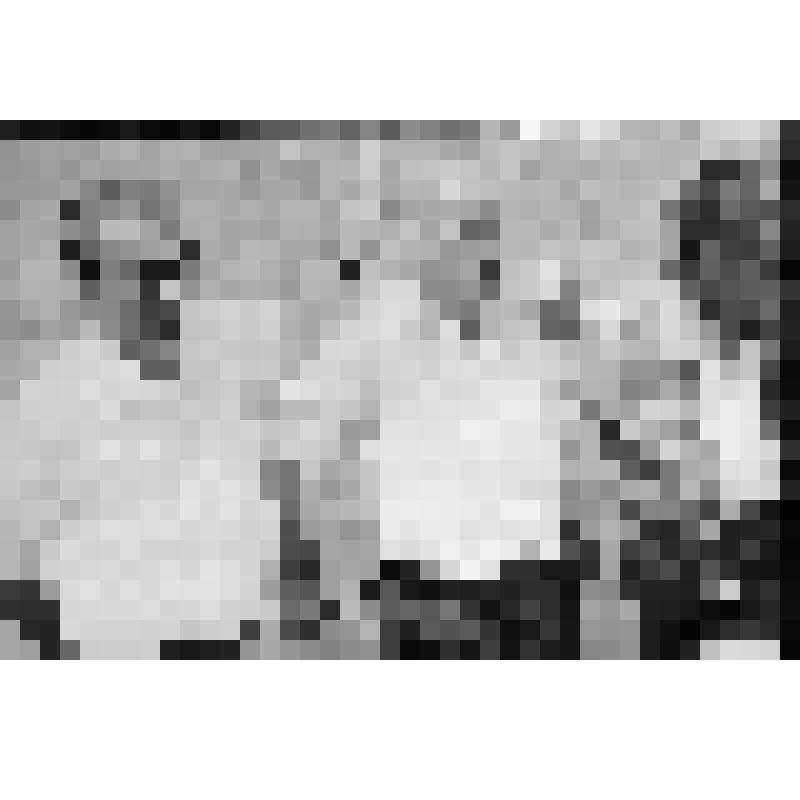 Масловский Николай Данилович, главный инженер стройтреста N 3, начальник СУ-129 (слева) и Лосев Василий Дмитриевич, начальник СУ-131 (в центре)