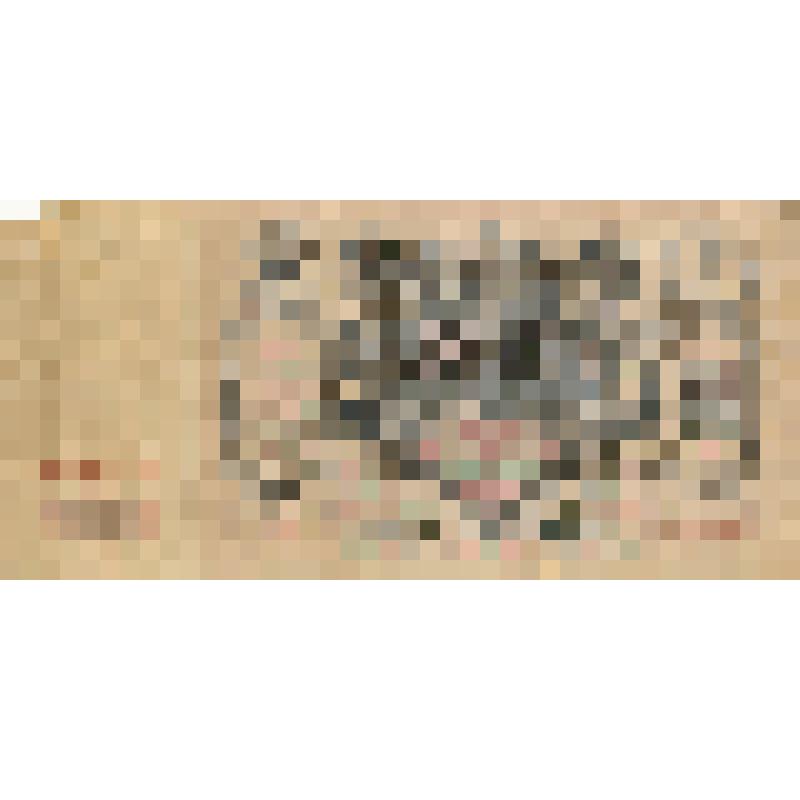 Государственный кредитный билет. Россия. 100 рублей. 1910 г