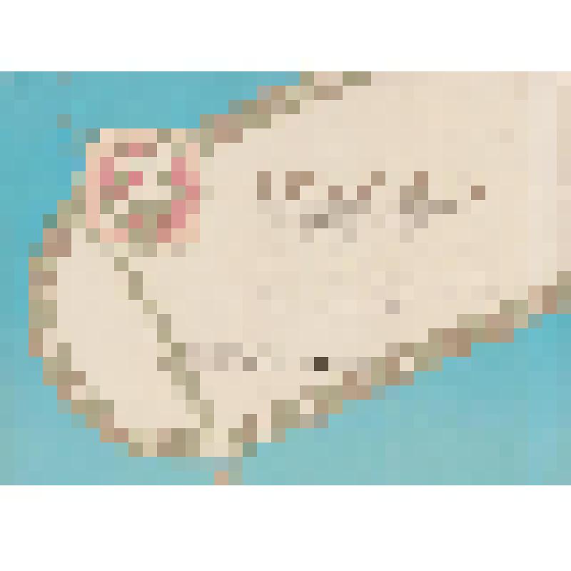 Грамота, Комитет по физической культуре и спорту при Поронайском горисполкоме Награждает команду Морского Порта, III место в соревновании по лыжным гонкам на 10 км в зачет зимней спартакиады города, Председатель спорткомитета В.А. Чугунов, г. Поронайск