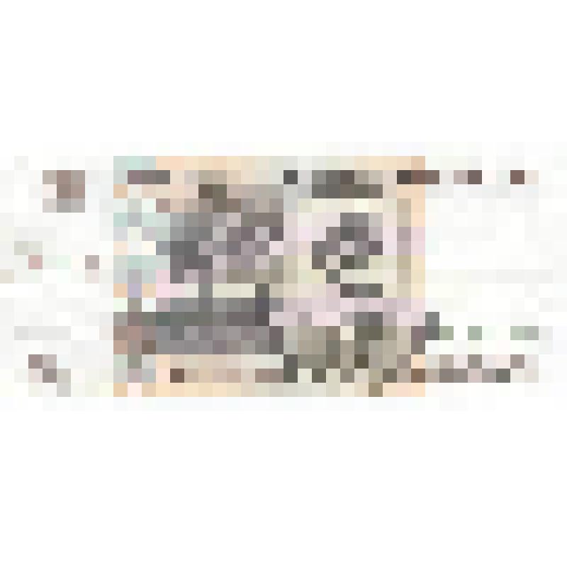 Бумажный денежный знак. Билет Банка России