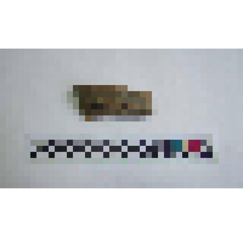 Фрагмент венчика амфоры типа Зеест 80