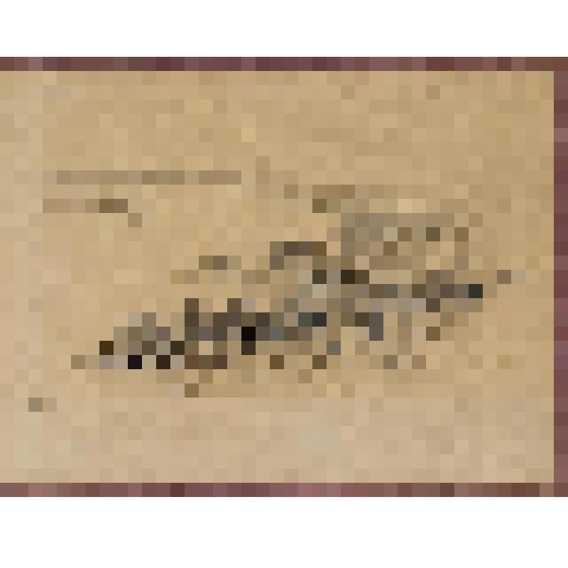 Разлив на Волге