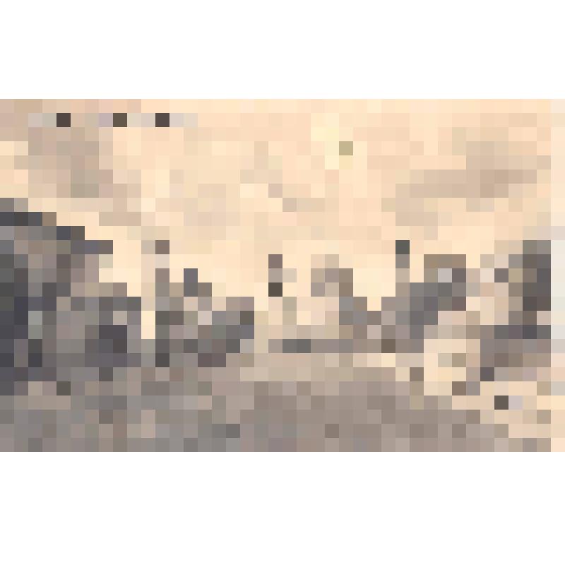 Фотооткрытка. Г. Уфа, Александровская улица