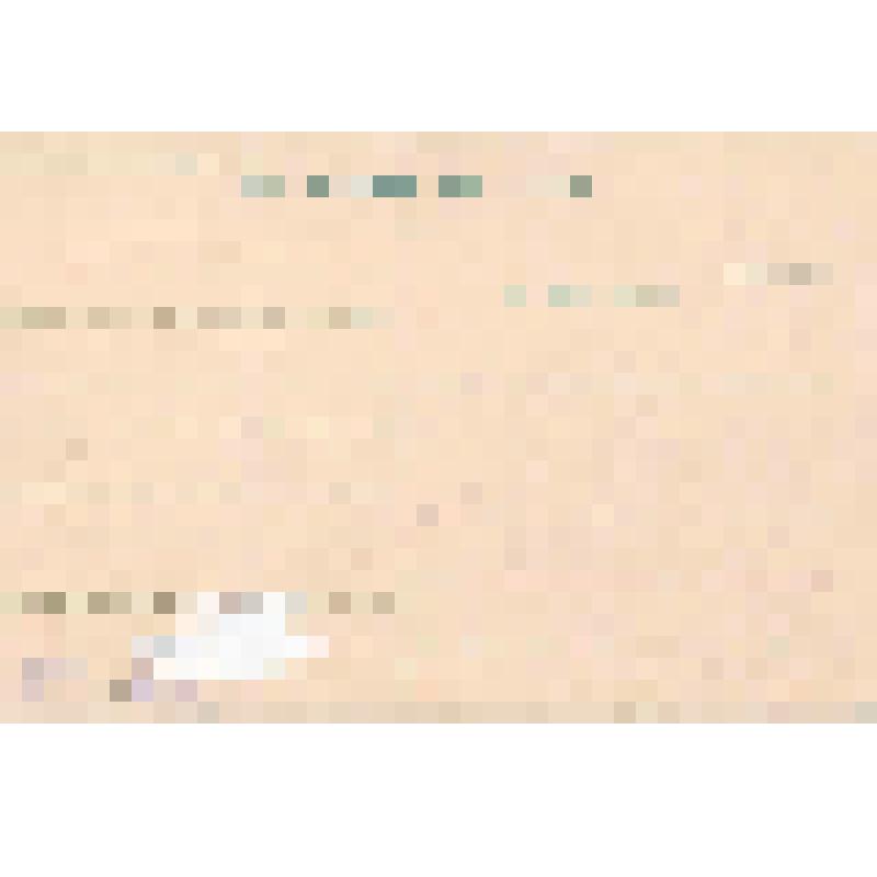 Фотооткрытка. Г. Уфа, Александровская улица