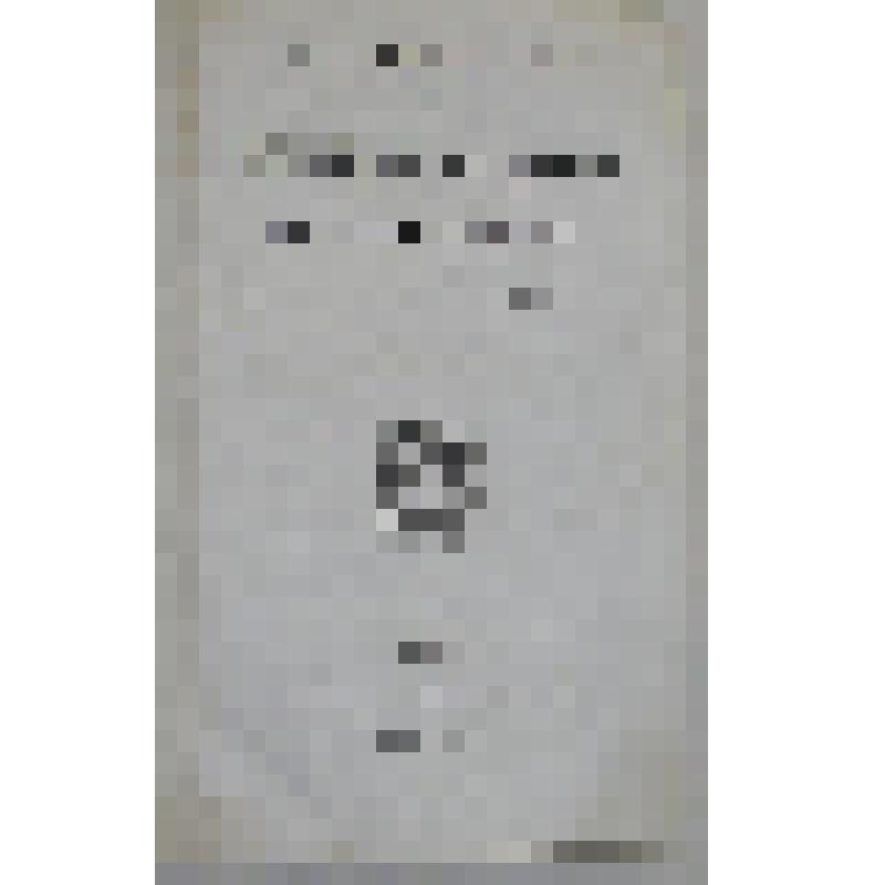 Dictionnaire de la conversation et de la lecture. T. 8: Загл. на шмуцтит.: Répertoire des connaissances usuelles.- Paris: Belin-Mandar. Imprimerie de Béthune, : , 1833: .- [4], 546, [6] c