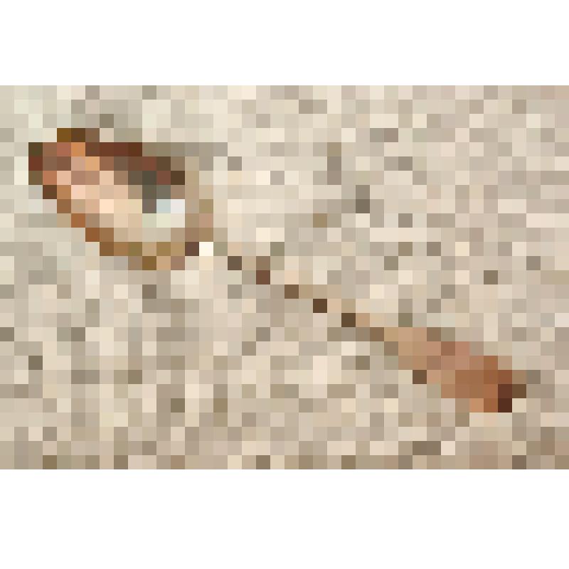 Ложка десертная