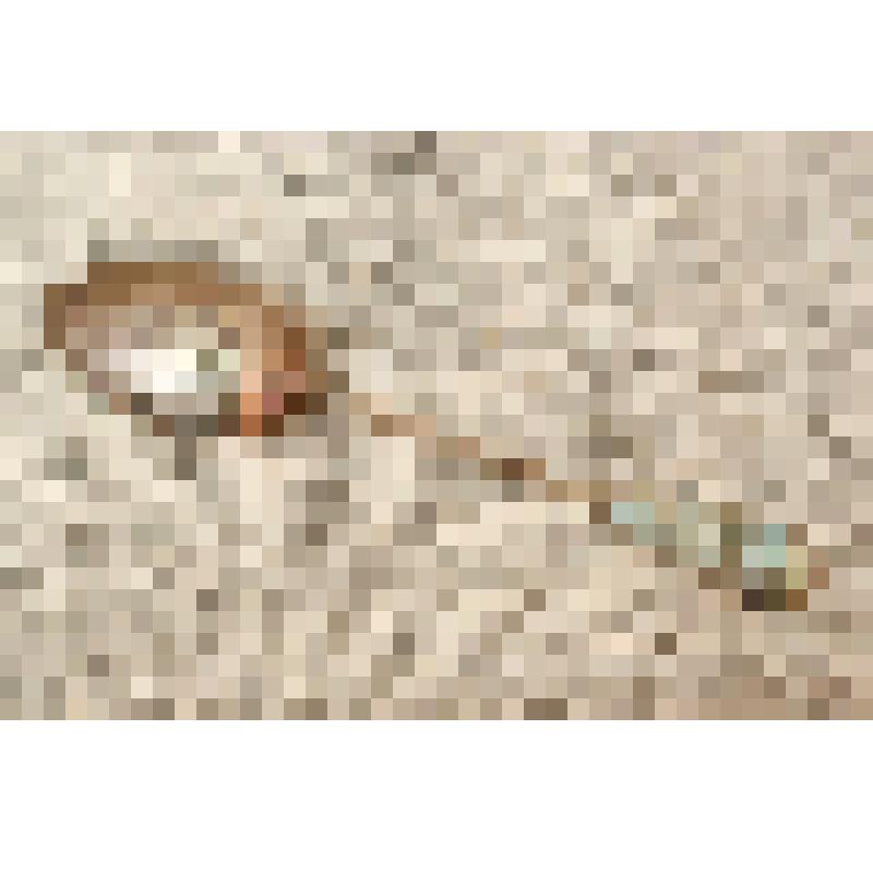 Ложка десертная