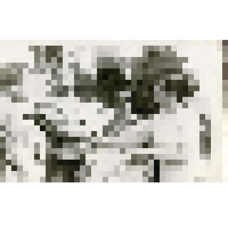 Вручение переходящего Красного вымпела шоферу колхоза "Победа Октября" Бородавко И.К