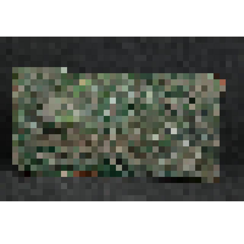 Изразец (фрагмент)  печной  рельефный зеленый с изображением цветка и плода на завивающихся стеблях