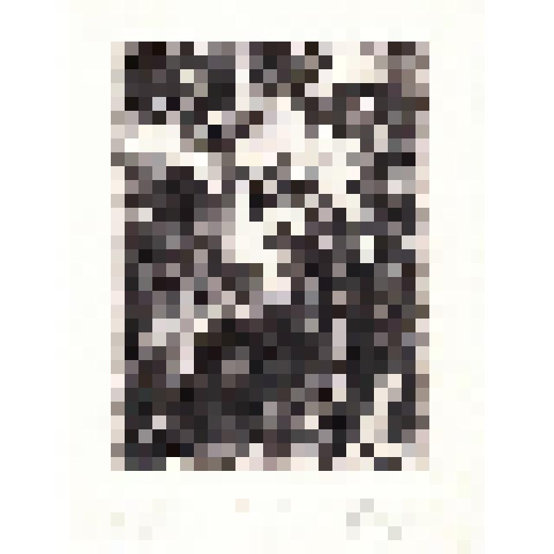 Экслибрис "Ex Libris Л.М. Вязовикова"