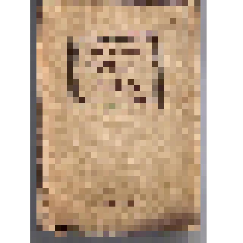 Книга. Начало века