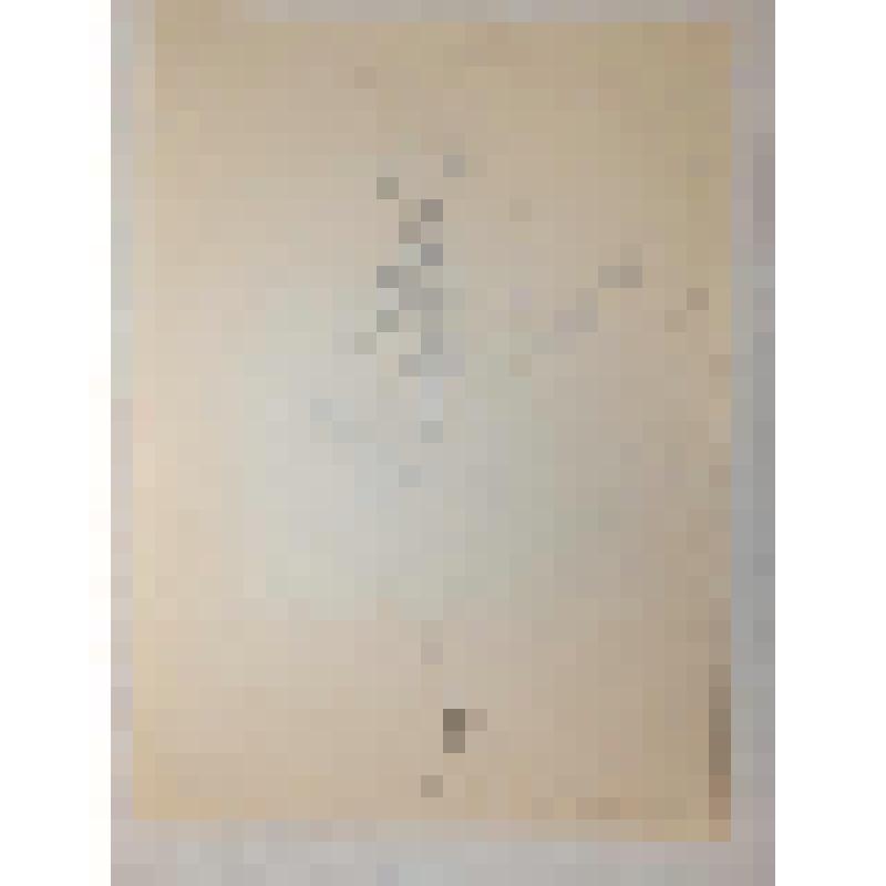 Эскиз куклы. Персонаж "Педант (вариант №1)».". "Из жизни насекомых". Воронеж, Театр кукол «Шут»