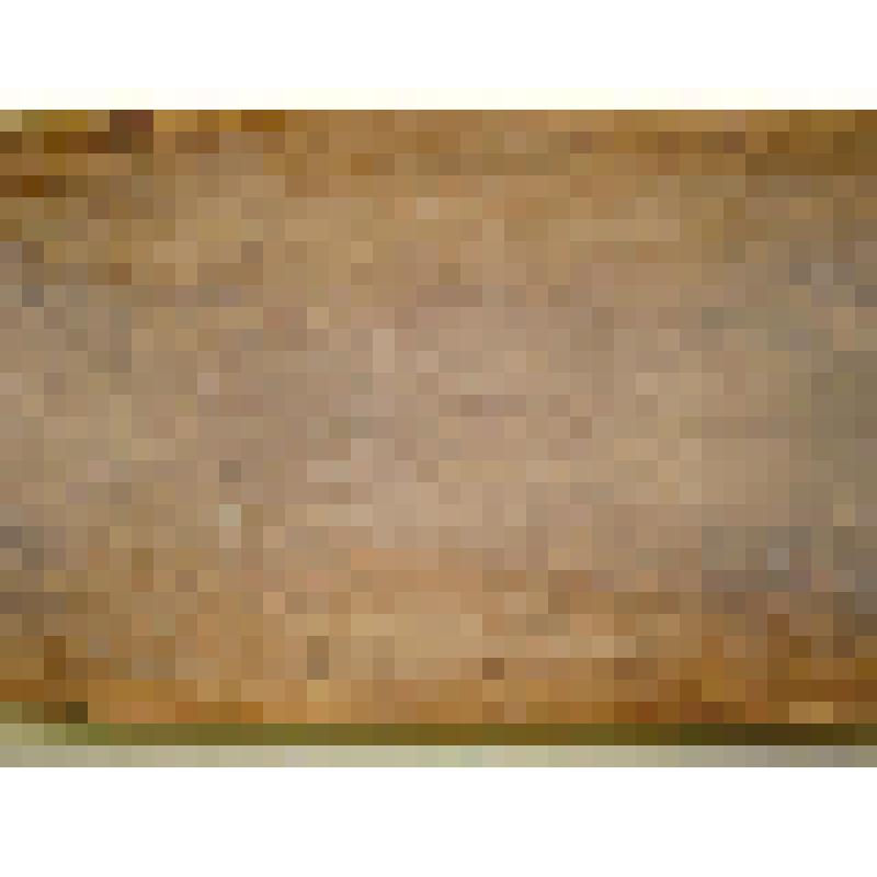 Лоток для мытья золота