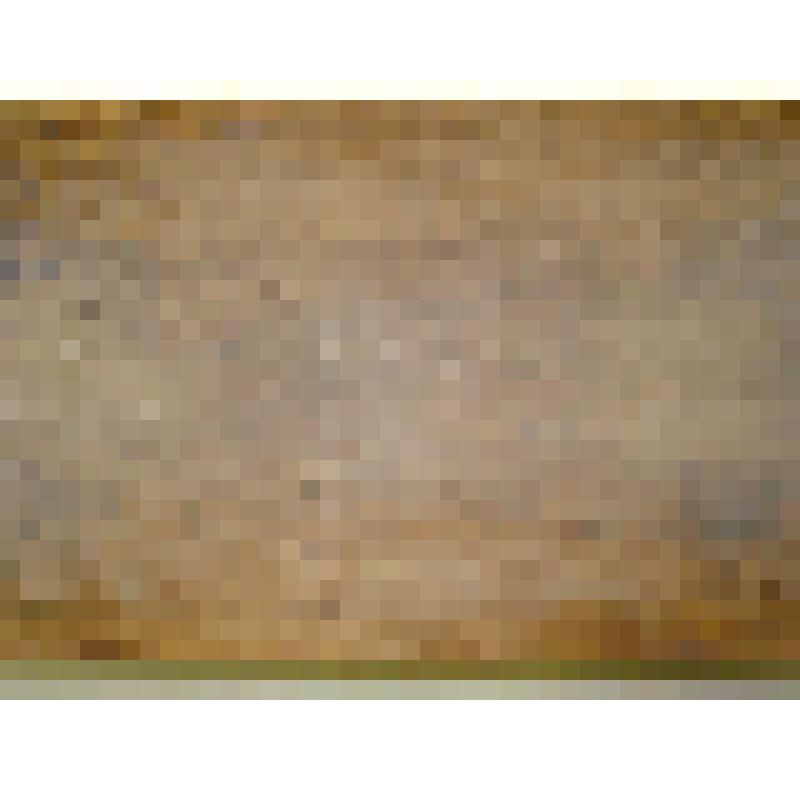 Лоток для мытья золота