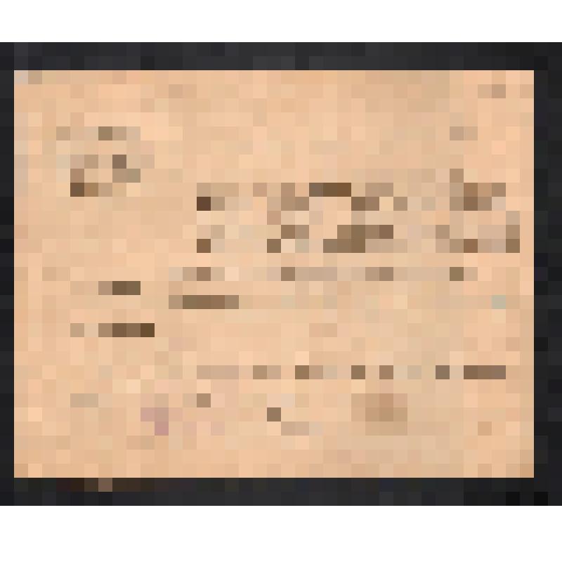 Справка на имя Литвиненко П.С. в том, что он был добровольцем в рядах Красной Гвардии. 1931 г