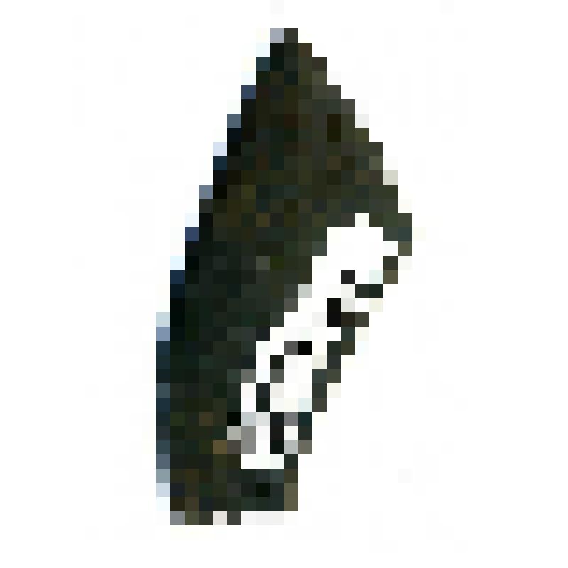 Фрагмент концевого копьеца