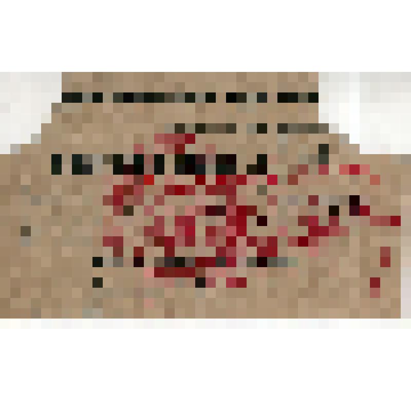 Гостевой билет N 593 Романовского на право в зал заседаний Всесоюзной конференции РКП(б)