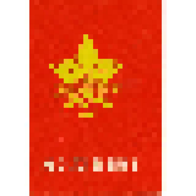 Удостоверение к знаку. ЦК ВЛКСМ "Молодой гвардеец XI пятилетки" I степени Ганина А.Н