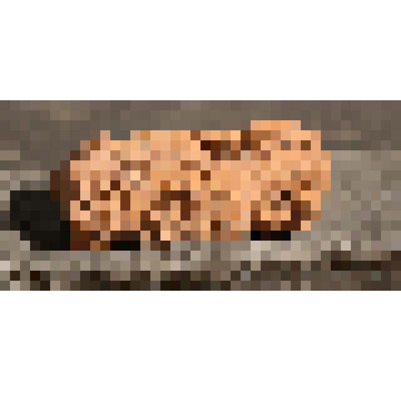 Изразец печной, нащельник, рельефный, терракотовый (красный). Фрагмент