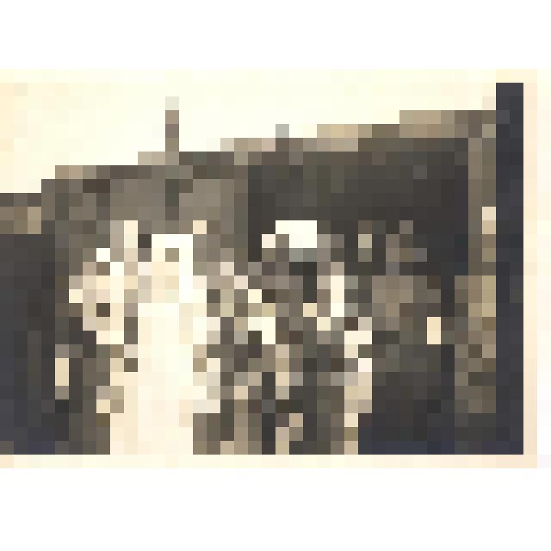 Фотография ч/б. Санитары и сестры милосердия у открытого вагона военно-санитарного поезда.  Группа из 4-х женщин и 6-ти мужчин.  [1915г.]