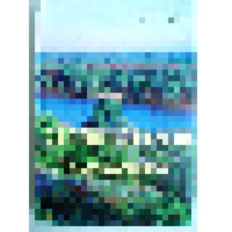 Книга "За Доном, за рекой. (История и современность станицы Мечётинской)