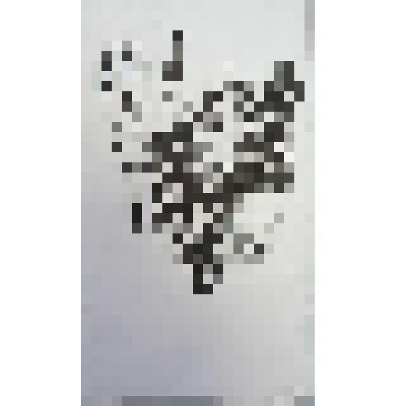 Графическая работа. «Пушкин и женщина-1»