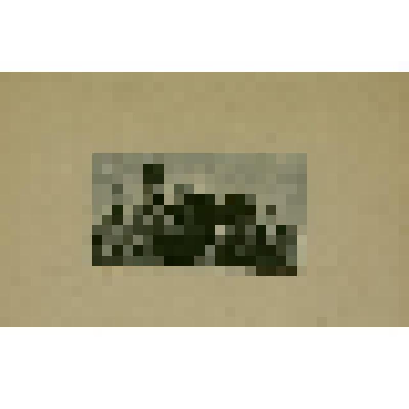 «Николай Ростов среди однополчан»