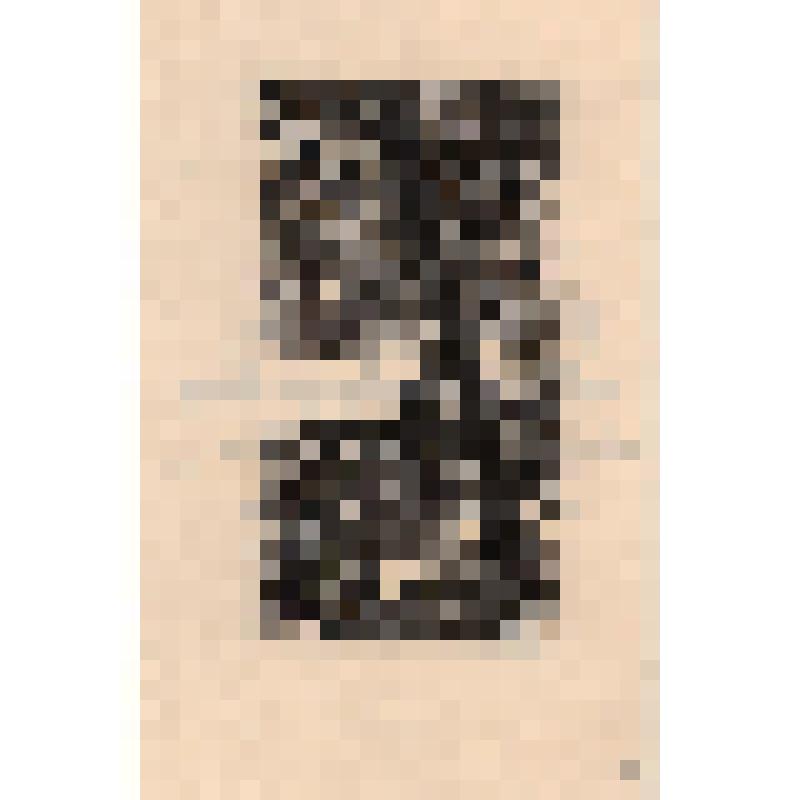 Лист 17. Заставка к стихам Леонида Хаустова. Серия ксилографий к сборнику стихов «Молодой Ленинград».1948