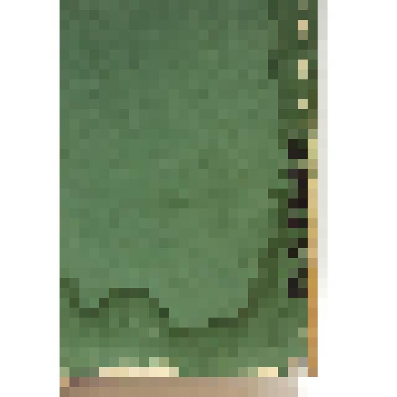 Поднос-картина Тегенцева Владимира Петровича, ветерана Великой Отечественной войны