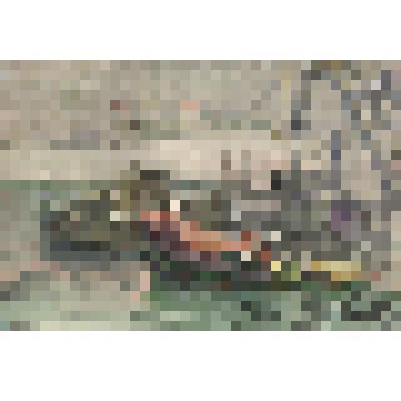 Рисунок. Баркасы на Белом море