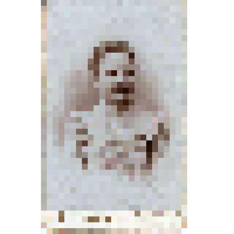Фотография. Малышева Лидия Афанасьевна (по мужу Песьяникова,), домашняя портниха Пешковых в начале 1900-х гг